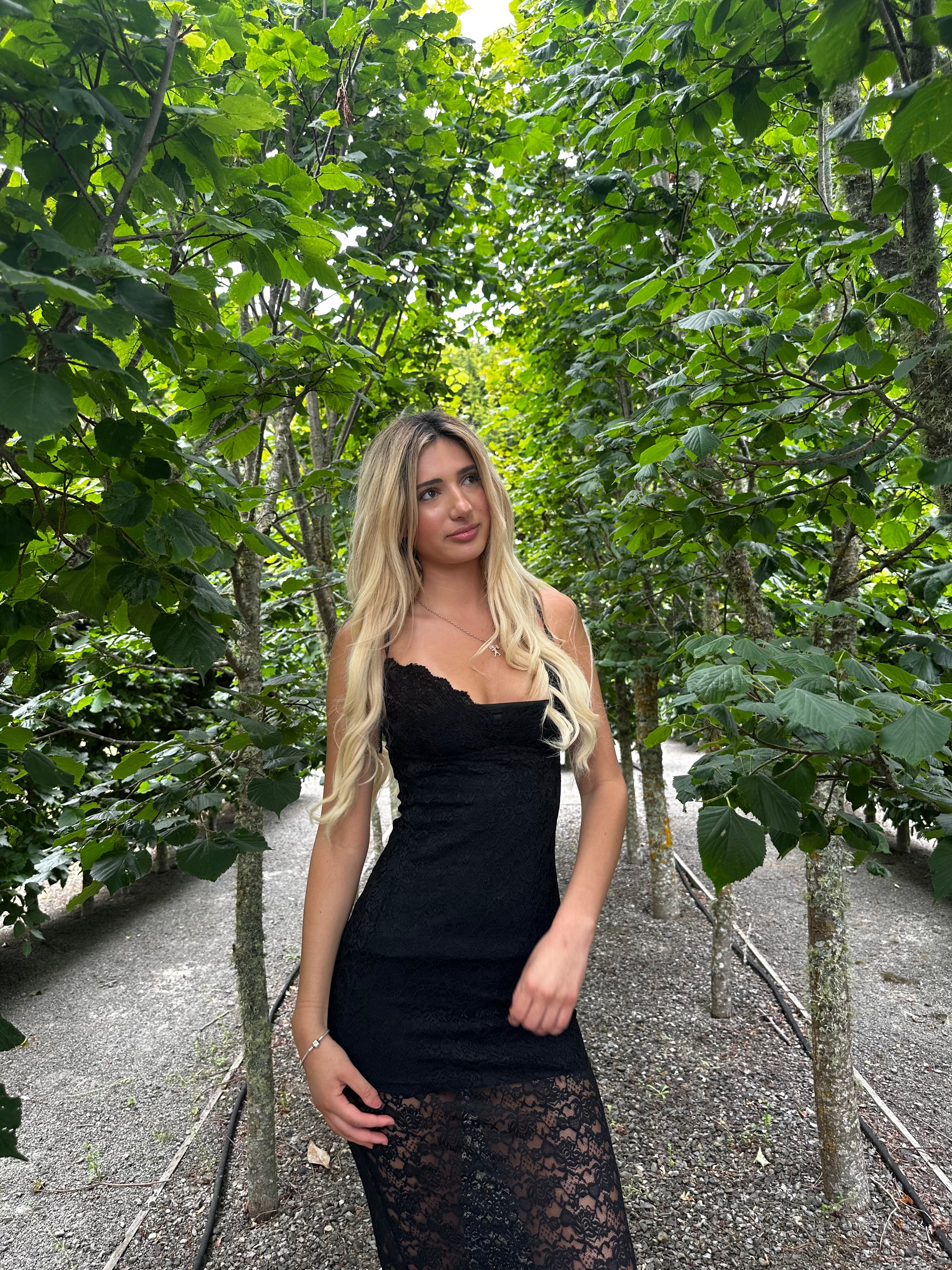 Edikted Melia Sheer Lace Maxi Dress - Dress Hire NZ