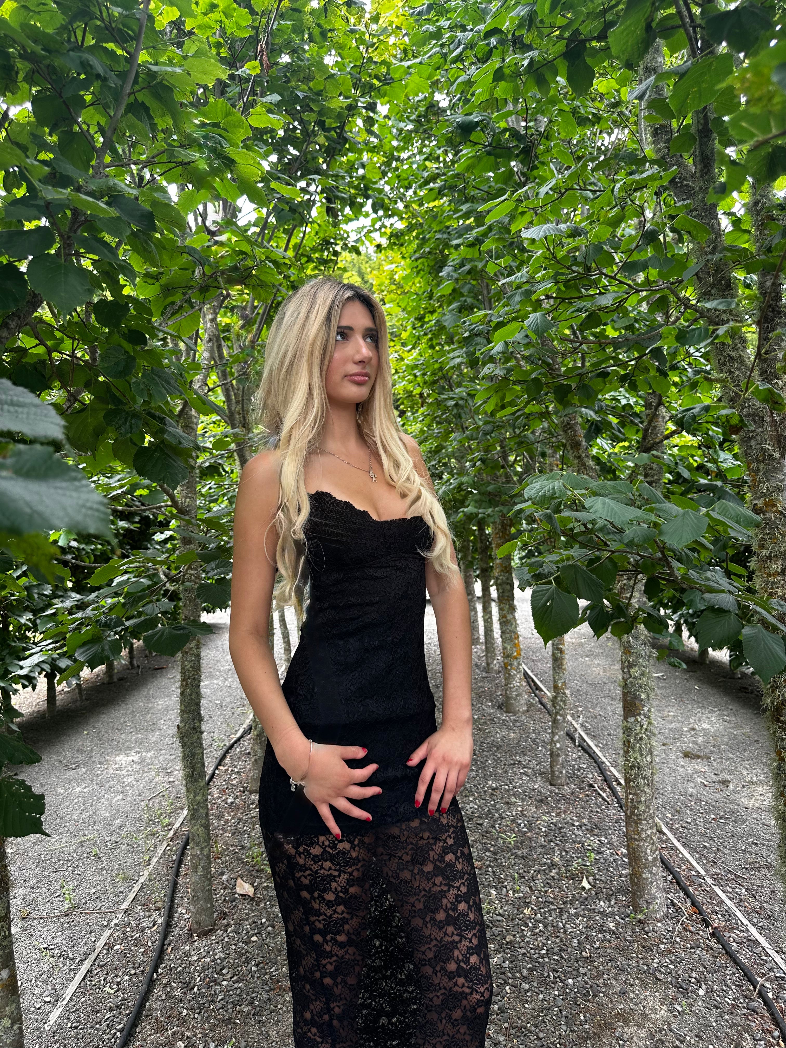 Edikted Melia Sheer Lace Maxi Dress - Dress Hire NZ